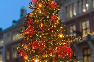 Fijne feestdagen en een goed nieuwjaar!